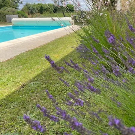L'ecurie - Stunning Spacious With Shared Pool Saint-Palais-de-Phiolin